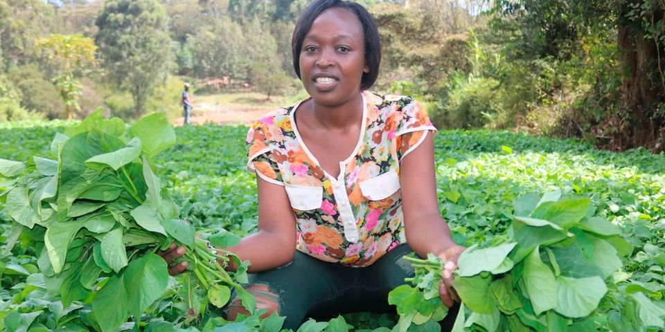 How to make money from managu farming in Kenya