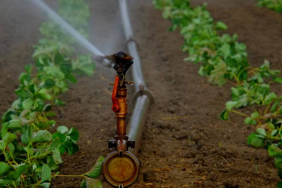 Kenyan farmers in Thika East Sub County thrive via irrigation agriculture