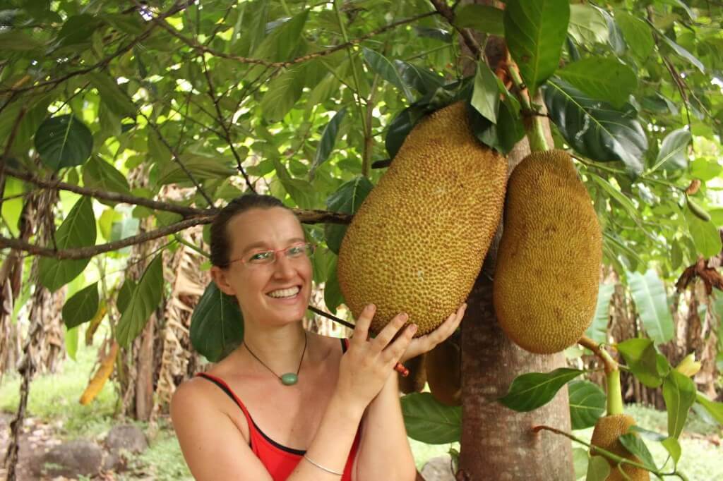 HOW TO GROW JACKFRUIT FROM SEED