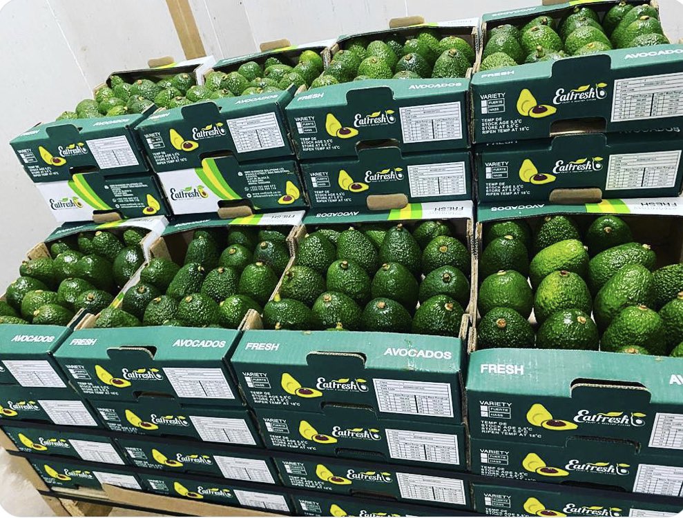 Kenya to export 20,000 tons of avocado to China this year