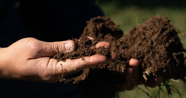 How to ensure your soil retains plenty of moisture