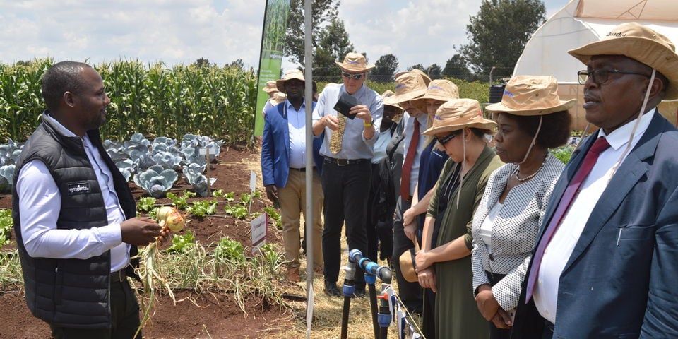 Syngenta launches crop protection centre in Kiambu