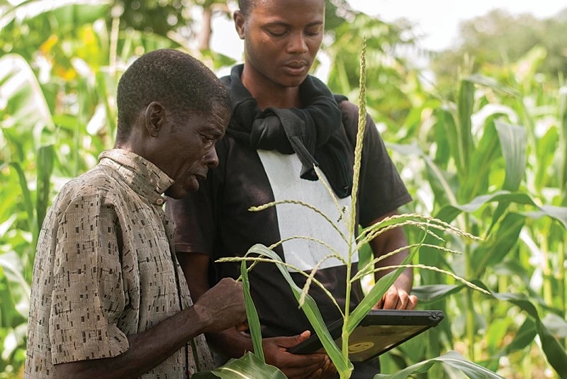Use tech to unlock Africa’s agricultural transformation
