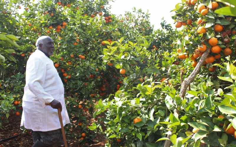Pixie farmer builds multi-million-shilling empire in Ukambani, success story of 71 year old peter mwakas
