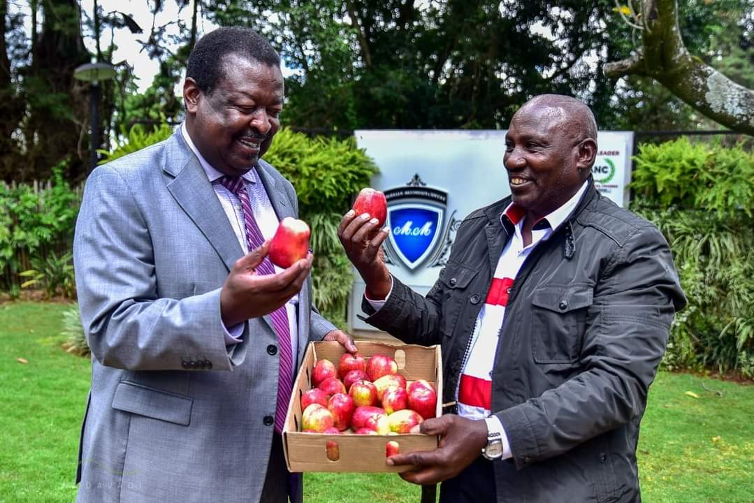 Meet the inventor of wambugu apples, peter Wambugu, success story of wambugu apples